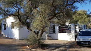 Gateway to the Alpujarras, 'Cortijo Derry'